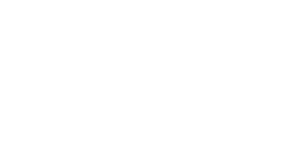 Carl J. Borg signature